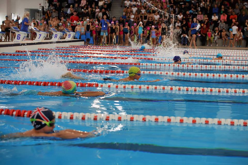Târgoviște Olimpic Swimming Pool